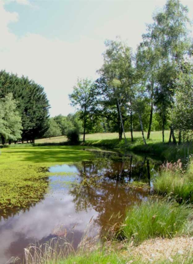 Willa Domaine Des Grandes Landes Saint-Paul-la-Roche Zewnętrze zdjęcie